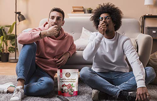 Chocolate Orchard Dark Chocolate Covered Cranberries - 6oz