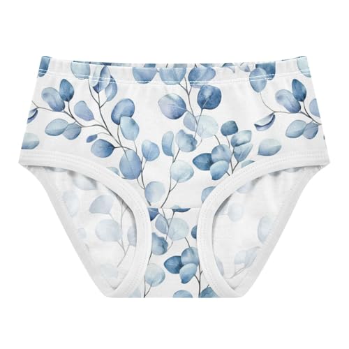 ZZKKO Blue Eucalyptus Leaves Girls Underwear Toddler Panties for Girls Comfort Brief Size 2-8T