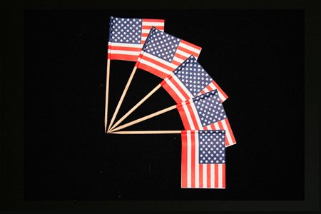 Everflag Zahnstocher : USA 1000er Packung