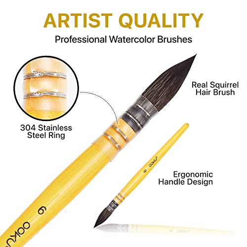 Ooku Professional Quill Brush For Watercolor Painting - Real Squirrel Hair Blend, Short Handle Round Brush For Consistent Flow In Gouache, Watercolor, And Art Painting - Size 6 #TOP2