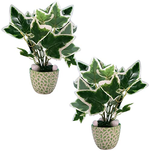 Caajib Decor's Artificial Star Leaves Bush in Imported Handcrafted Snake Shad Green Ceramic Pot with Beautiful Black and White Stones Perfect for Home, Office Wedding Party Room Decor Gift (Set of 2)