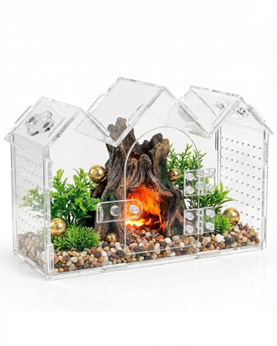 BEZONO Jumping Spider Enclosure with Magnetic Front Door & Ventilation