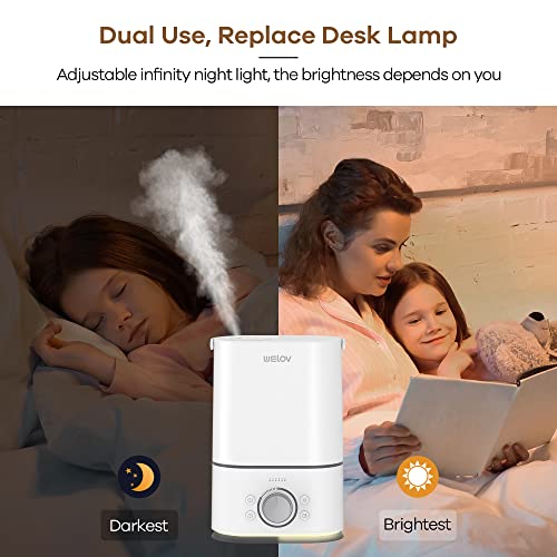 Welov Humidifiers For Bedroom, 1 Gallon Tank Cool Mist Humidifiers For Large Room, Quiet Air Vaporizer Humidifier With Timer, Night Light, No Leaks, Easy To Clean, Room Humidifiers For Baby, Plants #TOP3