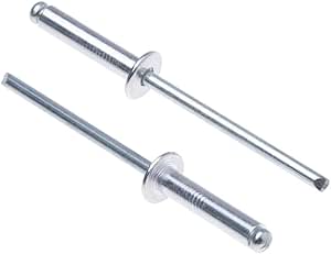 3.2mm x 6mm Legering Klinknagels, 1000 Pak – Blinde Klinknagel, Koepelkop Klinknagel, Aluminium Behuizing en Stalen Doorn Popnagels voor Blik, Metalen Bevestiging, Leer – Duw Klinknagels