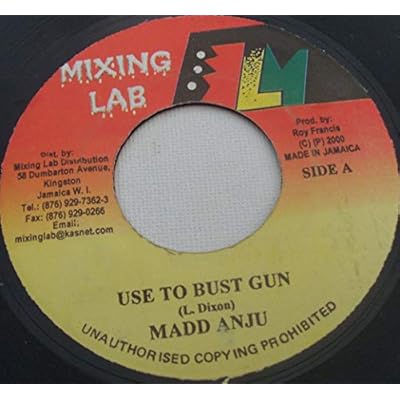 Use To Bust Gun