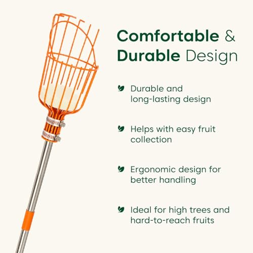 Image of Kyari Fruit Plucker | Strong Metal Claw for Easy Fruit Picking from Trees | Lightweight, Durable & Rust-Resistant | Ideal for Mangoes, Guavas, Sapotas & More