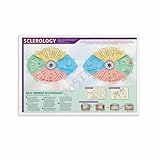 Iridology Chart Poster Iridology Knowledge Guide Eye Hospital (2) Canvas for Bedroom Living Room Decor 12x08inch(30x20cm) Unframe-style
