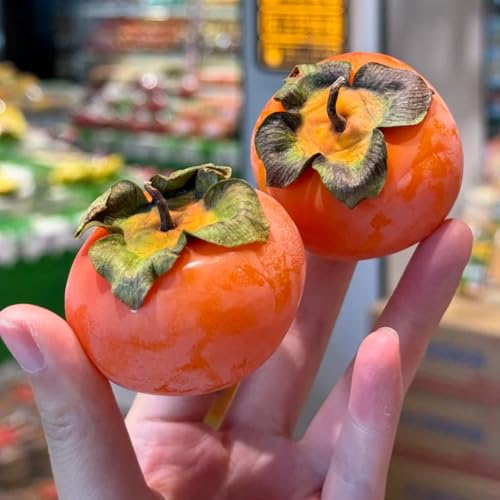 semillas resistentes del árbol de caqui, semillas de frutas, plantas resistentes al invierno para balcones comprar semillas de caqui, plantas raras, semillas de plantas de interior 20pcs
