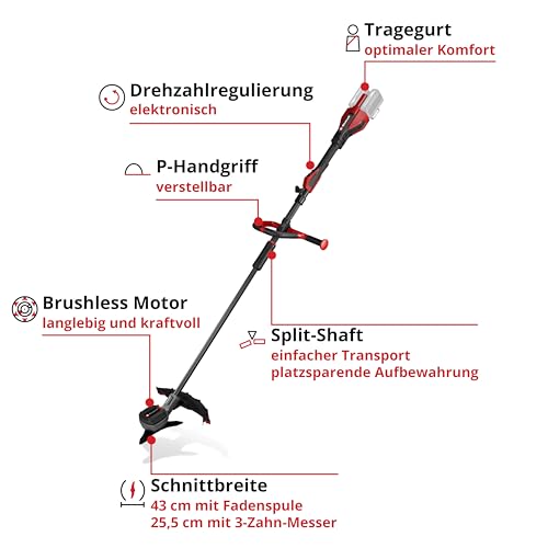 Einhell Professional Akku-Sense GP-BC 36/430 Li P BL - Solo Power X-Change (36 V, Brushless, 43 cm Schnittbreite, P-Handgriff, Doppelfaden, 3-Zahn-Messer, ohne Akku) 3