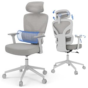 DSNAPE Bürostuhl Ergonomisch, Schreibtischstuhl mit Verstellbarer 3D Armlehnen & Kopfstütze, Atmungsaktiver Netzrücken Gaming Stuhl, Lendenwirbelstütze Computerstuhl, Grau