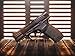Springfield Armory Hellcat Pro CO2 BB Pistol air Pistol (FDE)