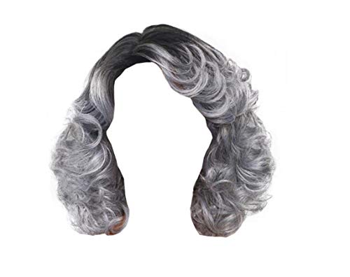 38cm Silver Grey Ombre Short Curly Wig for Women Synthetic Wig Costume Party