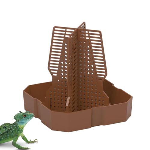 Comida Tortugas Terrestres Pequeñas Marca Genérico