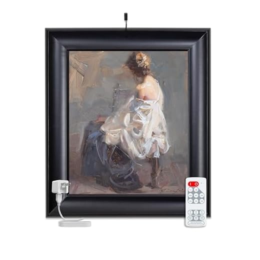 Situ Lighting: Plug-in Micro Series Compact Remote Controlled LED Picture Light USA Made (Black, C) 1 Light (Artwork up to 24"Wx34"T))