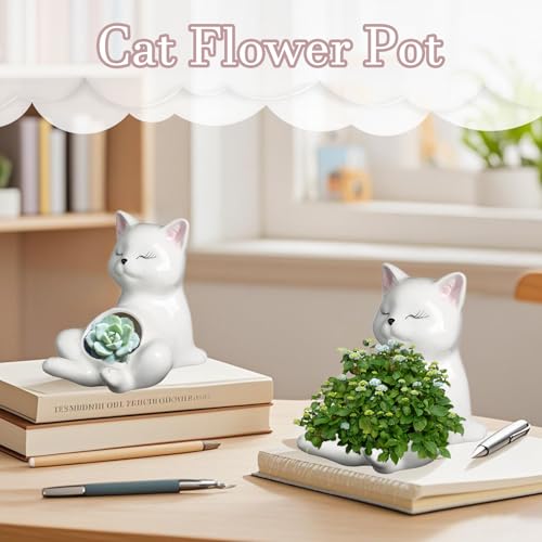 Pot de fleur chat céramique contenant petite succulente extérieure balcon