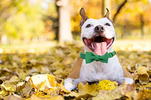 Unique style paws Dog Collar with Bowtie - Image 3