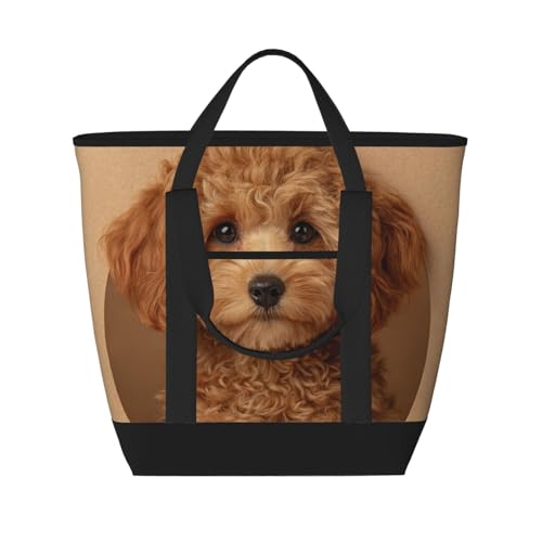 ۗobO v[h   ё ʐ^ e 26L ܂肽݉ N[[obO PEVA IbNXtH[h  t@Xi[ |  sNjbN 19cm×34cm×41cm [sAi]