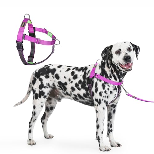 Rated 4.2 out of 5 stars from 231 reviews