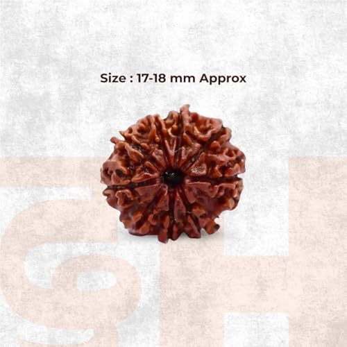 Image of Divine Hindu 9 Mukhi Nepali Rudraksha Natural Loose Bead Nine Face Original Certified Nau Mukhi Fearless Protection Spiritual | Natural Brown Prayer Beads for Meditation, Success & Protection 18mm