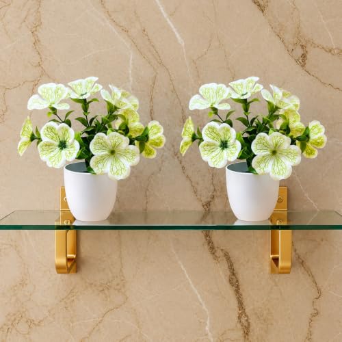 Image of fancymart Artificial Real Touch Flower Plant with Pot (Pack of 2), 16 cm Height, Decorative Faux Floral Plant for Home, Office, Living Room, Bedroom, Table & Shelf Decor