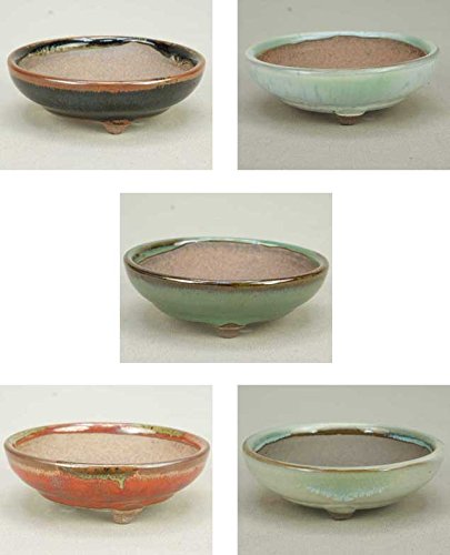 悶 y~͔z Ό/3t۔i~jj5FZbg yF2.8cm aF8.8cmzy~j`z