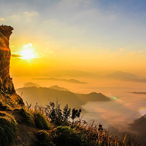 『Beauty of the Book』のカバーアート