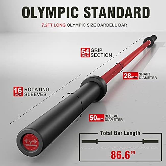 Curl Bar Olympic Barbell EZ Bar 330LB/700LB/1000LB/1500LB for Biceps Curl, Squat, Weightlifting