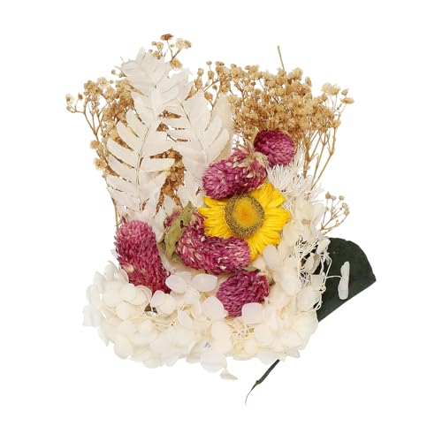 Set de Flores Secas Naturales uxcell