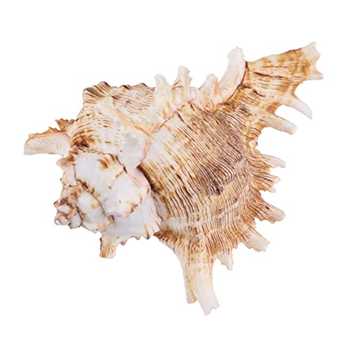 PERSELOSO  L     L     [