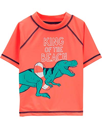 Carter's Free Combination Boys Rashguard and Swim Trunks (Neon T-Rex Rashguard, 2t)