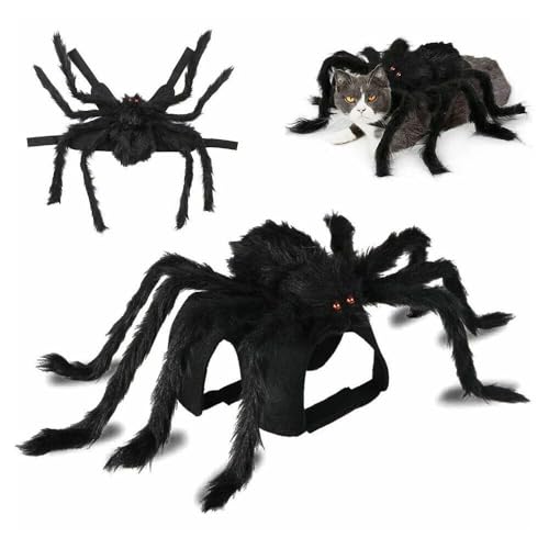 Halloween Pet Costume - Spider Costume for Cat and Dog, Adjustable for Small Medium Dogs, Party Decorations Supply (M)