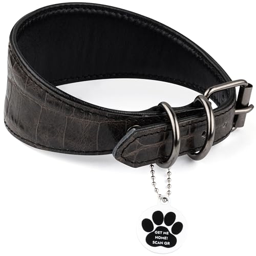 FAVPET Luxus Echtleder Windhund Halsband Breit mit QR Code Anhänger, Weiches Lederhalsband Hund Breit Whippet Italienisches Windspiel Saluki Lurcher Spanischer Galgo Greyhound Podenco (Grau, XS)