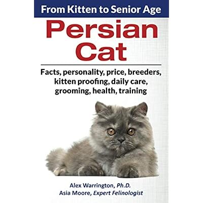 Persian Cat