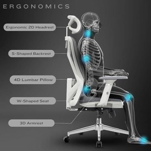 Image of Aeronaut Ergonomic Office Chair for Work | Multi-Lock Synchro Tilt Mechanism with Seat Slider | 5 Year Warranty | 3D Armrest | Adjustable Lumbar (Grey, 3D with Seat Slider)