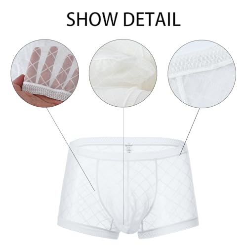Men's Mesh Lace Boxer Briefs Sexy See Through Underwear Breathable Thin Bulge Pouch3