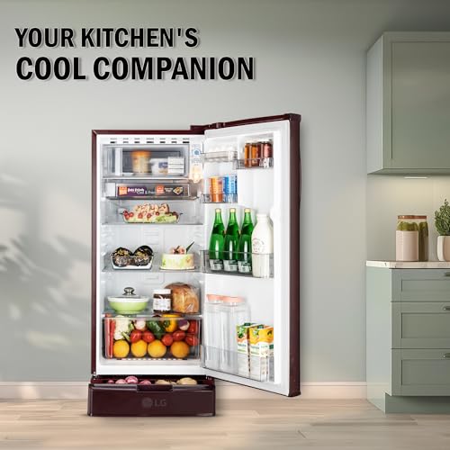 Image of LG 185 L, 2 Star, Direct Cool Single Door Refrigerator (GLD1925XOSF, Scarlet Florance, Base stand with Drawer)