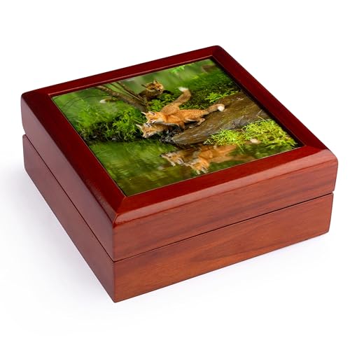3dRose USA, Minnesota. Three red fox kits, Jewelry Box jb-231024-1