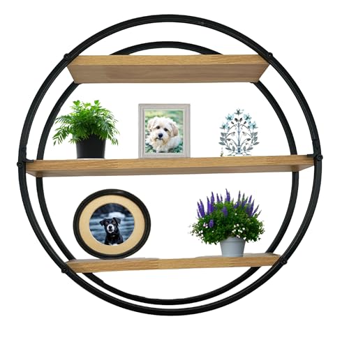 Admired by Nature, Mounted Iron Circle Hanging Storage Shelving, 3