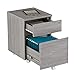 Techni Mobili Rolling Lock and Storage 2 Drawer Vertical Filing Cabinet, 15.75