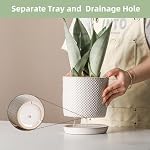 5.8 Inch Plant Pots: Ceramic Planter with Drainage Hole & Saucer - Flowerpot for Indoor & Outdoor Plants - Beaded Embossed Design White - with Separate Tray | Indoor/Outdoor Planter with Tray - Beaded Embossed Flowerpot for Home & Office - White