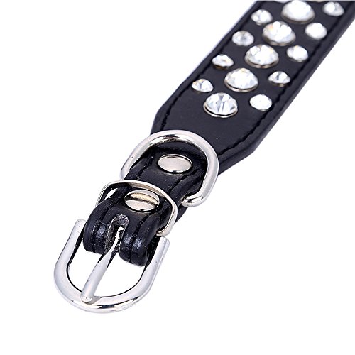 Dogs Kingdom 12"-20" Length Personalized Rhinestone Leather Bling Crystal Pet Dog Cat Collars For Small Medium Breeds Black L #TOP4