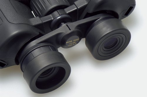 Binocular eyepieces and focus wheel