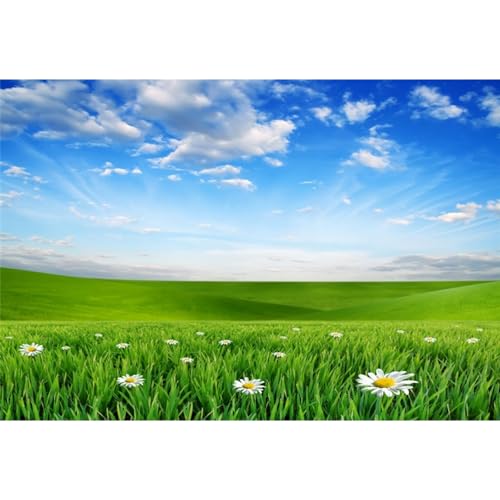 Laeacco 8x6ft Spring Grassland Landscape Backdrop Green Grass Meadow Daisy Flowers Photography Background Nature Scenery Outdoor Travel Adult Children Portrait Supplies Banner Photo Booth Props