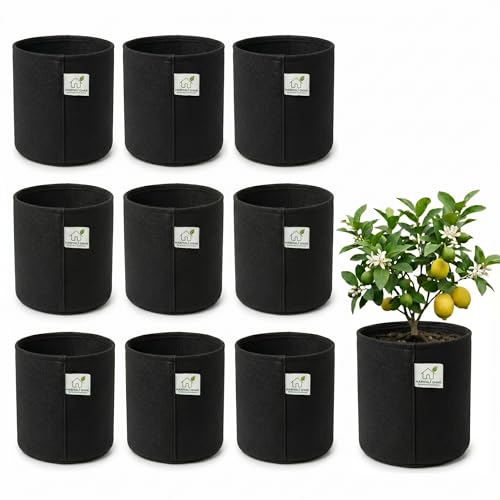 Image of 400 GSM Geo Fabric Round Grow Bags 24x24 Inch, Black Planting Bags for Terrace and Kitchen Gardening Pack of 10