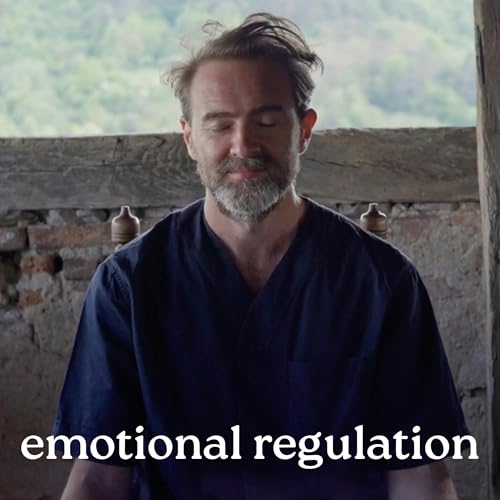 Emotional Regulation Guided Meditation | Ground & Settle the Nervous System