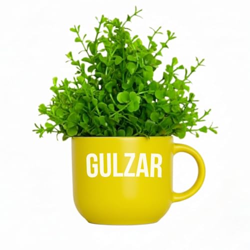 Image of Dekorly Colorful Wall-Mounted Mug Planters with Faux Greenery(20 CM)- Wall Decorative Pots for Vibrant Home & Office Decor| (3, Zindagi Gulzar Hai)