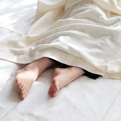 NISSHO pelata 3dK[[Pbg tulta gD[^ 145190 ^I VO 􂦂 y [΍ { 100%  ʋC Rbg K[[ zc ^IPbg Q Ԃ v[g Mtg zCg A56-0