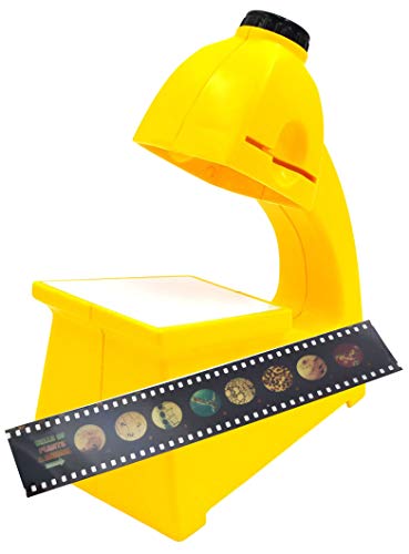 Image of EISCO 2 Piece Micro-Slide Viewer & Viewer Set - Includes One Economy Microscope & Slide Strip - Easy to Use - A Great Introduction Kit for Microscopy and at Home Learning