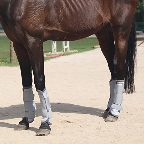 Gallopoff Botas de mosca para cavalos, conjunto de 4, leggings de malha respirável e confortável par