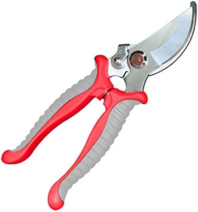 Tesouras de poda para jardinagem Tesouras de poda SK5 Podador Afi...